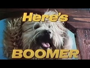 Here's Boomer title